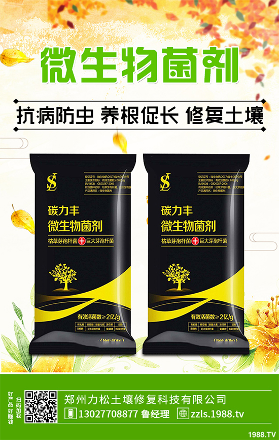 種植什么藥材能賺錢？2020年中藥材種植前景分析