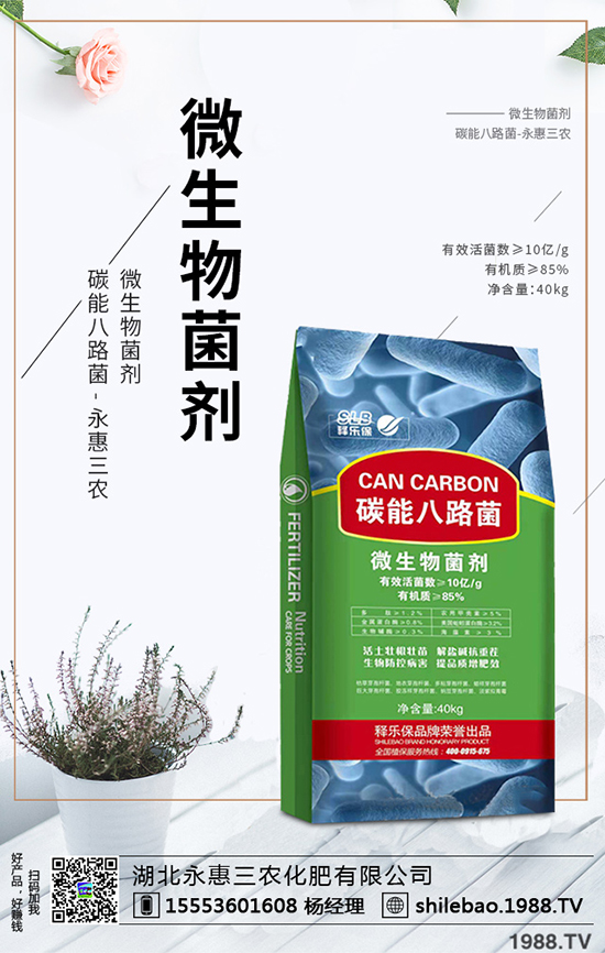 2020年西梅的種植前景如何？西梅價格多少錢一斤？