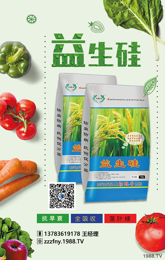 如何掌握蘋果的上肥技術(shù)？這幾點你學(xué)會，增產(chǎn)增收！