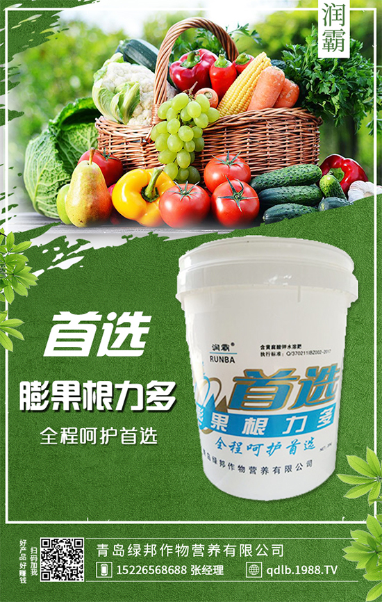 枇杷樹嫁接與不嫁接有區(qū)別嗎？枇杷樹的播種繁殖！