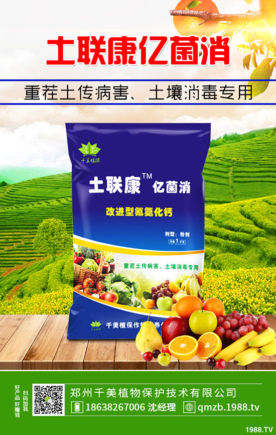     2020尿素價格行情如何？會漲么？12月30日各地區(qū)尿素主流出廠報價！