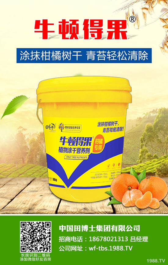 2020種草莓賺錢嗎？草莓種植的成本及前景預(yù)測！