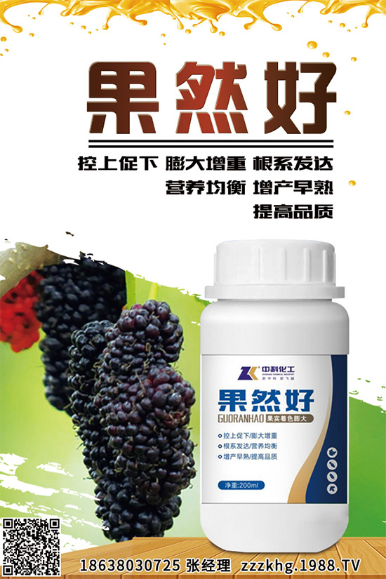 金線蓮有哪些營養(yǎng)價(jià)值？金線蓮的功效作用及食用方法