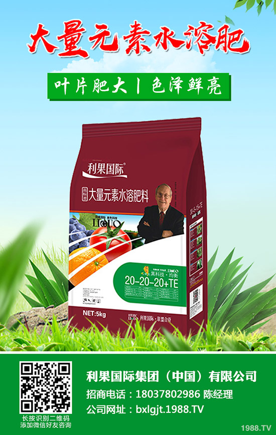 吃鐵皮石斛有什么好處，鐵皮石斛的功效與作用有哪些