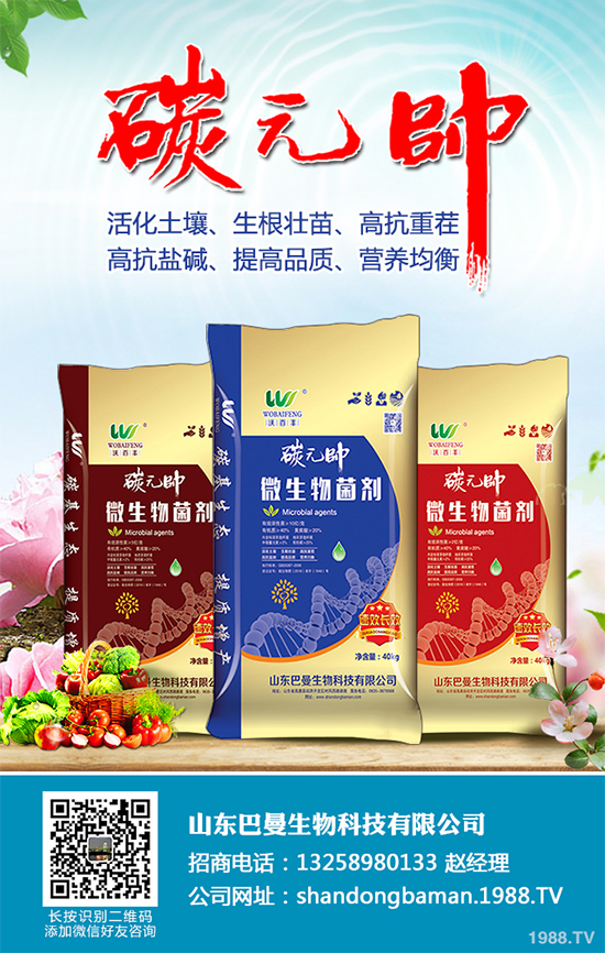 木耳菜有哪些營養(yǎng)價值？木耳菜的功效作用