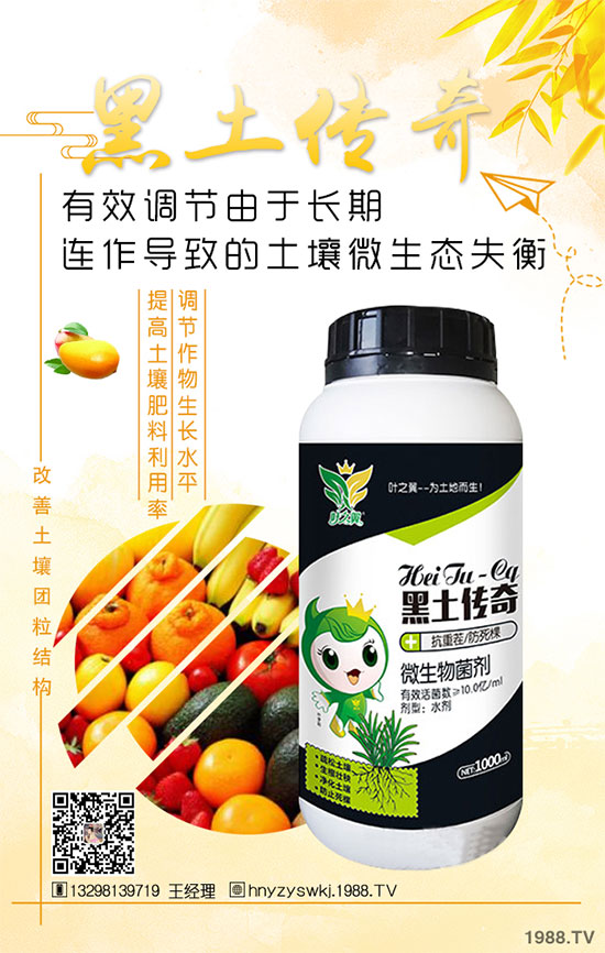 花椒樹什么季節(jié)種植？花椒樹的種植注意事項(xiàng)！