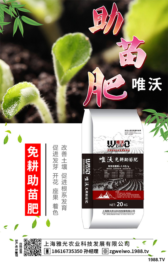     山藥什么時(shí)候采收？山藥的貯藏方法有哪些？