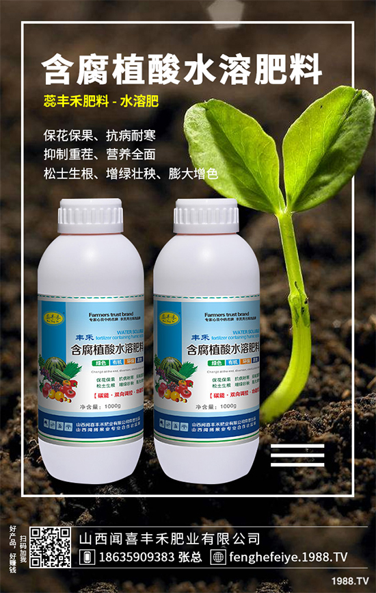 盆栽蔬菜該怎么種？盆栽蔬菜的高產(chǎn)種植技術