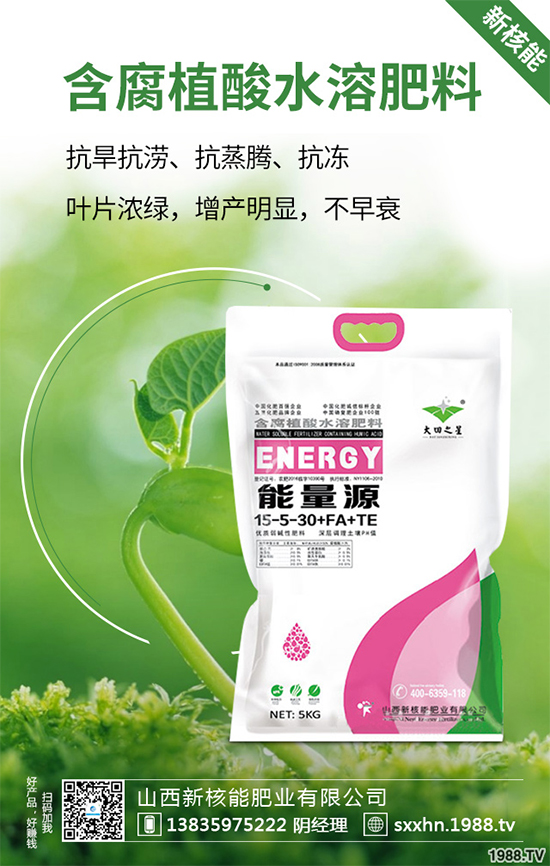 盆栽蔬菜該怎么種？盆栽蔬菜的高產(chǎn)種植技術