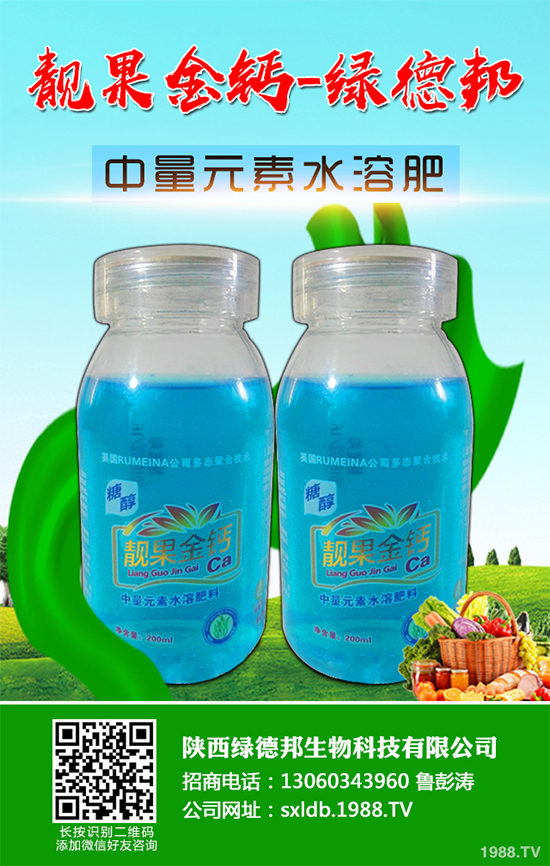 盆栽蔬菜有哪些品種?盆栽蔬菜的種植條件和注意事項