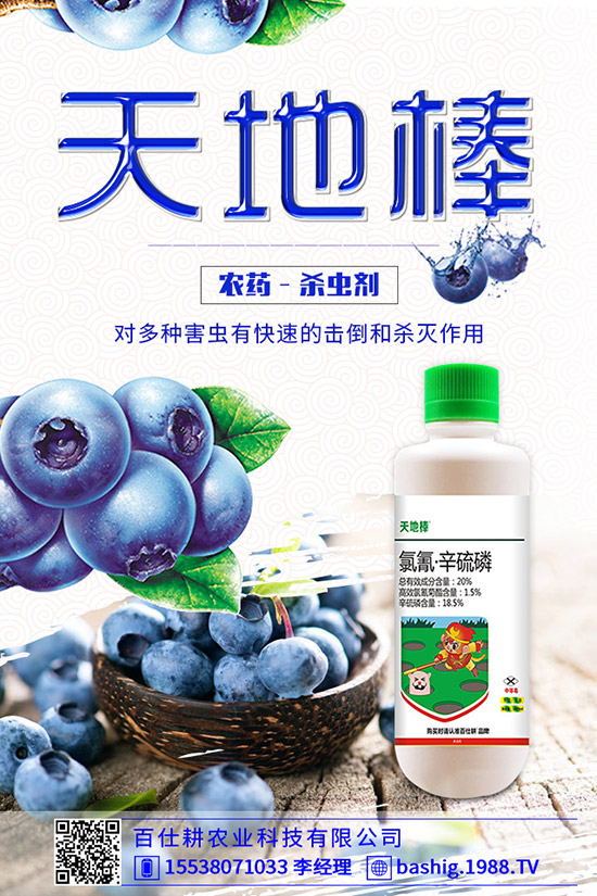 空心菜用什么肥好，空心菜的施肥技巧有哪些？