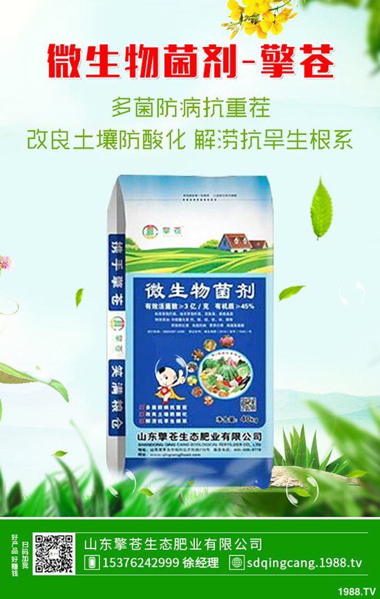     2019-12-7磷酸一銨行情低迷！今日一銨最新價(jià)格早報(bào)！