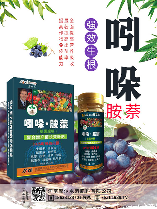 煙草主產(chǎn)地在哪里，煙草種植方法有哪些？
