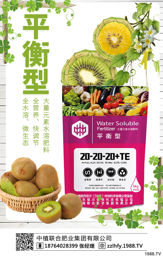 你知道什么是洋薊嗎？洋薊大概多少錢一斤？快來看看