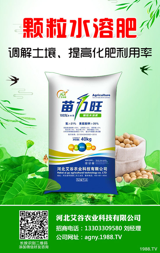 空心菜怎樣施肥產(chǎn)量高，空心菜施肥技巧有哪些？