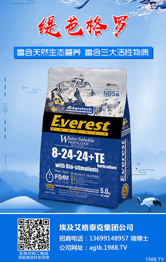 茄子什么時間育苗？茄子育苗方法