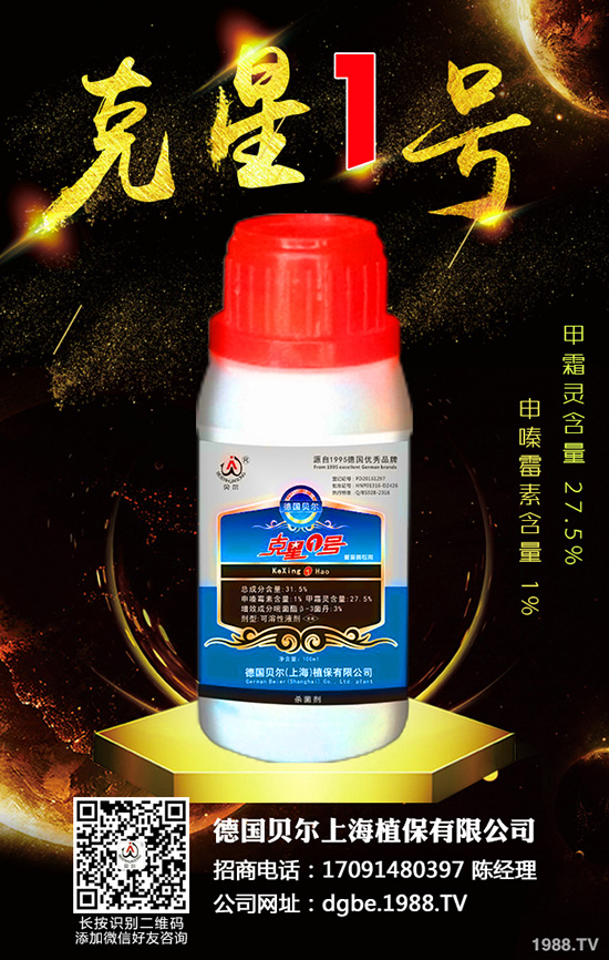 秋蘿卜霜霉病來襲，到底該如何防治？快來看看吧！