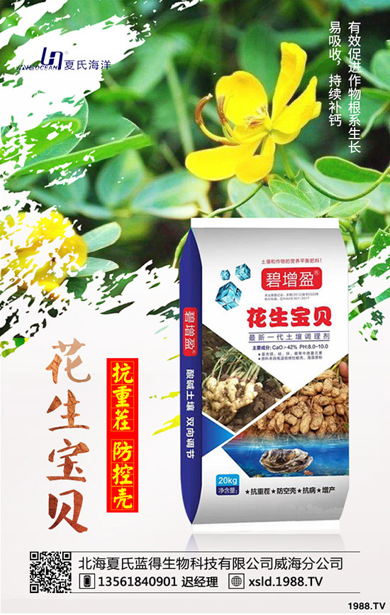 板藍(lán)根種前景如何？板藍(lán)根高產(chǎn)種植要點！