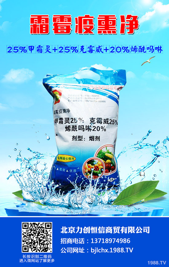 卷心菜怎么種？卷心菜的家庭種植技術(shù) 