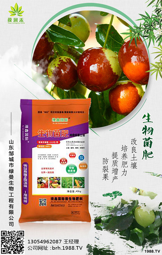 甘蔗是如何種植的，秋植蔗栽培技術要點有哪些？