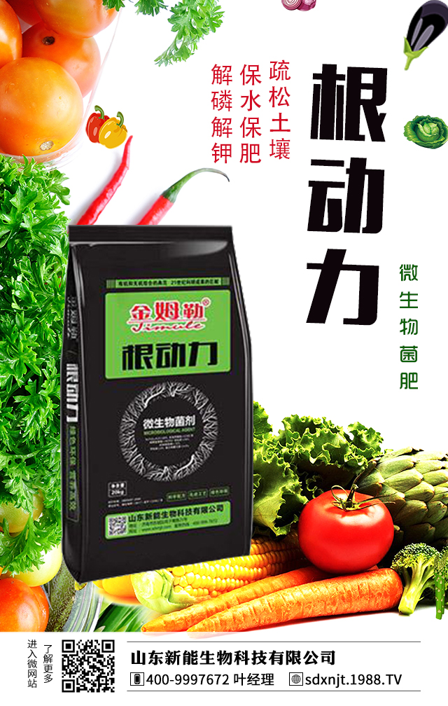 馬鈴薯需肥量大，如何給馬鈴薯施肥？