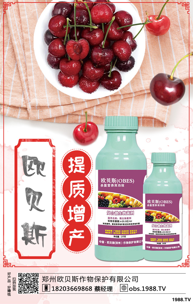 西洋梨如何種植？西洋梨樹栽培技術(shù)