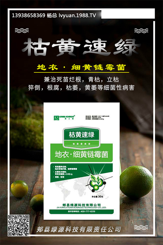 芹菜早疫病有哪些危害？是如何發(fā)生的？芹菜早疫病的發(fā)生與防治