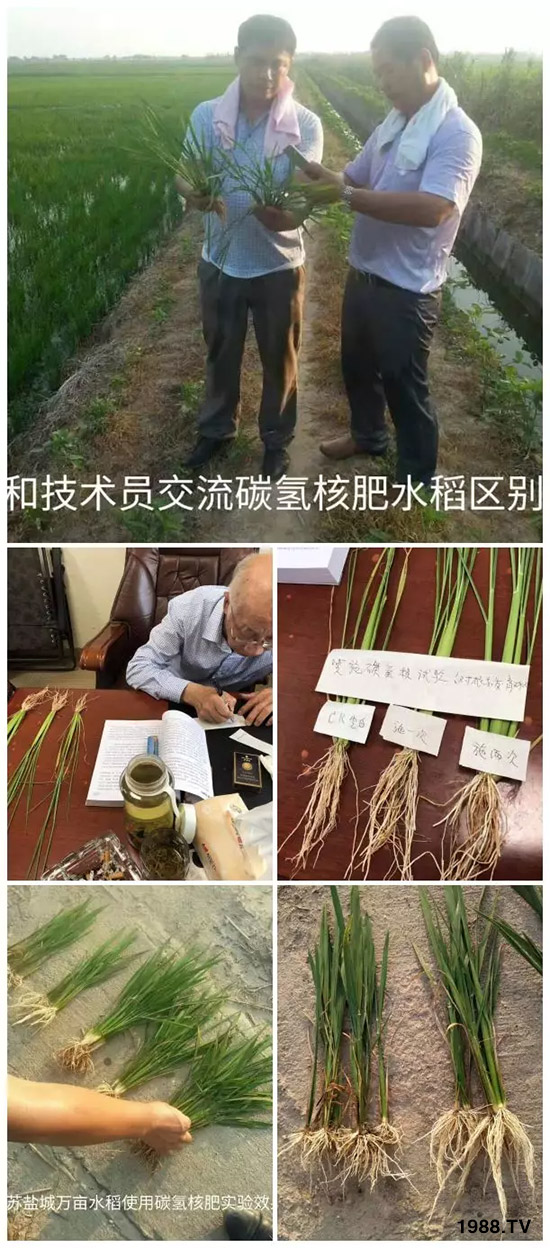 上百家媒體報(bào)道，打造超過(guò)歐盟食品標(biāo)準(zhǔn)作物！碳?xì)浜朔示褪沁@么火爆！