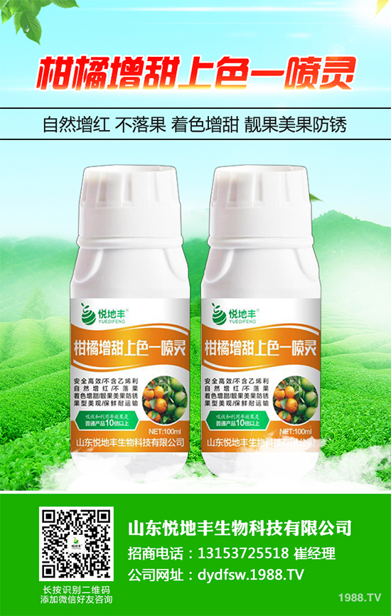 西蘭花該怎么種植?西蘭花高產(chǎn)種植技術(shù)要點(diǎn)