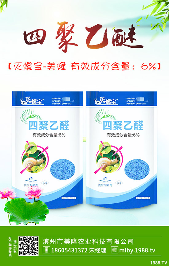 茄子該不該摘葉，茄子摘葉如何操作？