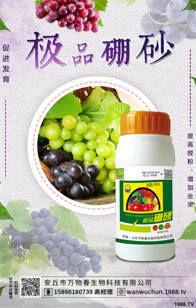 ����������ѵķ����������������ӷ�����������