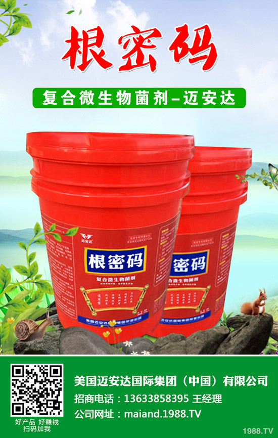 西葫蘆什么時(shí)候種植？西葫蘆種植技術(shù)！