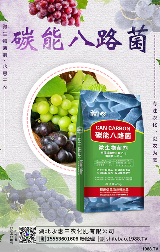     花菜什么時(shí)候種植合適？花菜種植時(shí)間及種植管理技術(shù)！