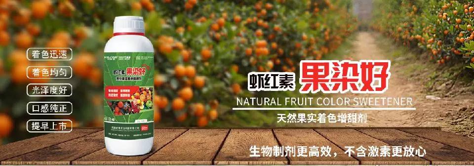 天然果實(shí)著色增甜劑——蝦紅素●果染好！