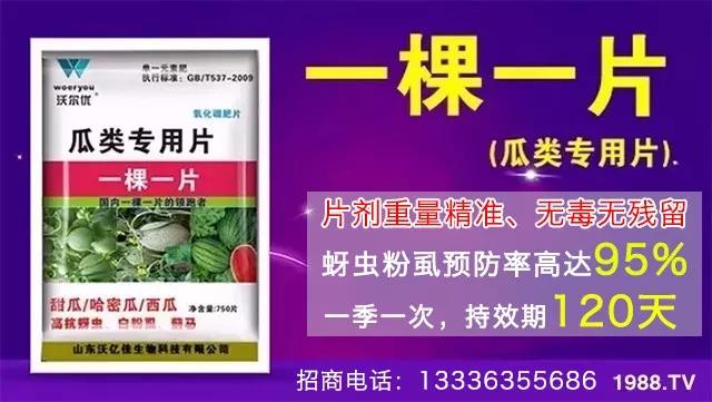 蚜蟲(chóng)、飛虱防不??？一片藥輕松搞定！預(yù)防率95%，持效長(zhǎng)達(dá)120天！
