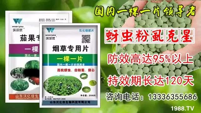 蚜蟲(chóng)、飛虱防不?。恳黄庉p松搞定！預(yù)防率95%，持效長(zhǎng)達(dá)120天！