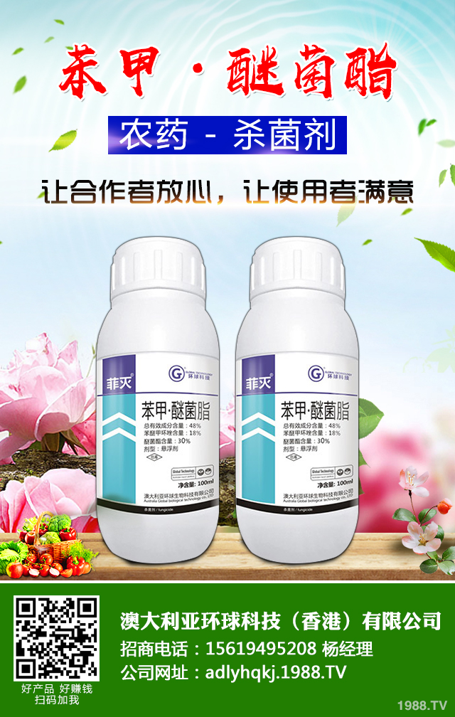 香蔥霜霉病了怎么辦？香蔥霜霉病防治技巧