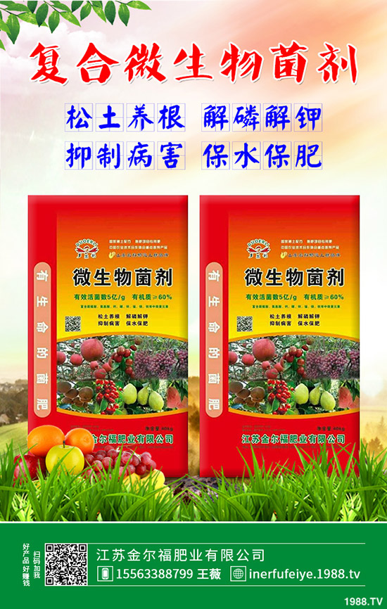 彩色花椰菜多少錢一斤？彩色花菜種植效益如何？