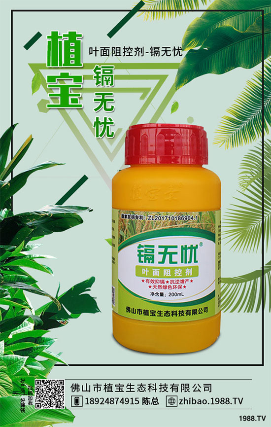 秋季大蔥什么時間種植？2019秋茬大蔥種植技術指南