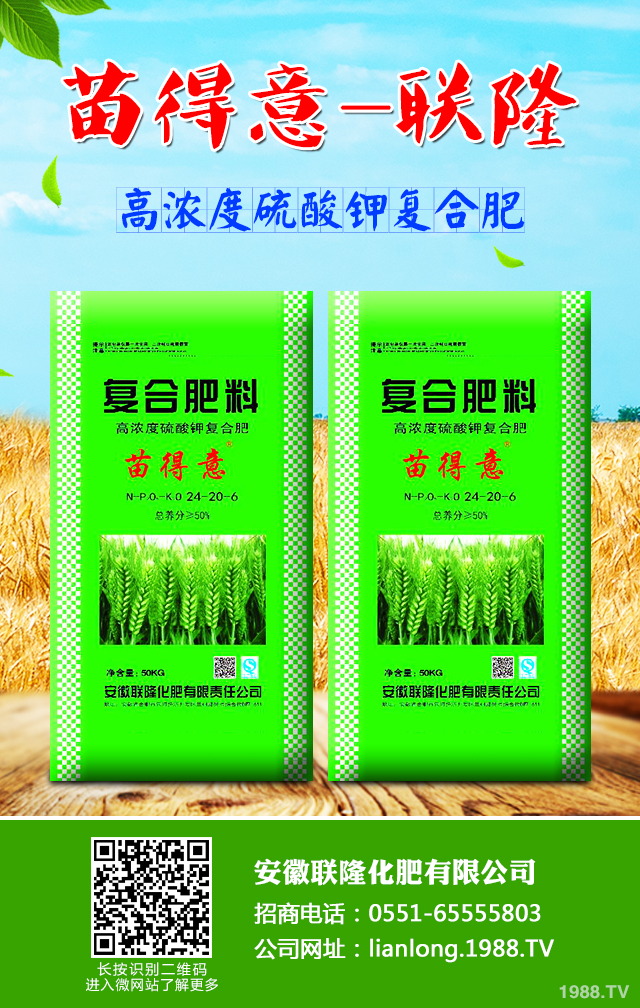 小麥怎么管理效果好？小麥成熟期田間管理