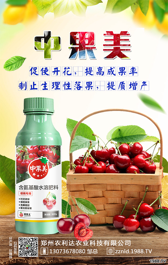 甜椒什么時候種種植？甜椒種植要點！