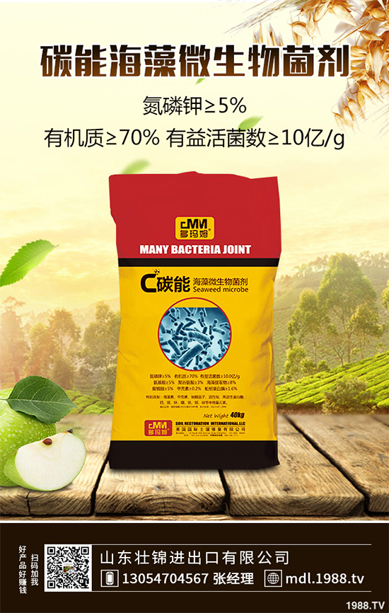 大蔥紫斑病有哪些危害？是如何引起的？大蔥紫斑病的防治措施