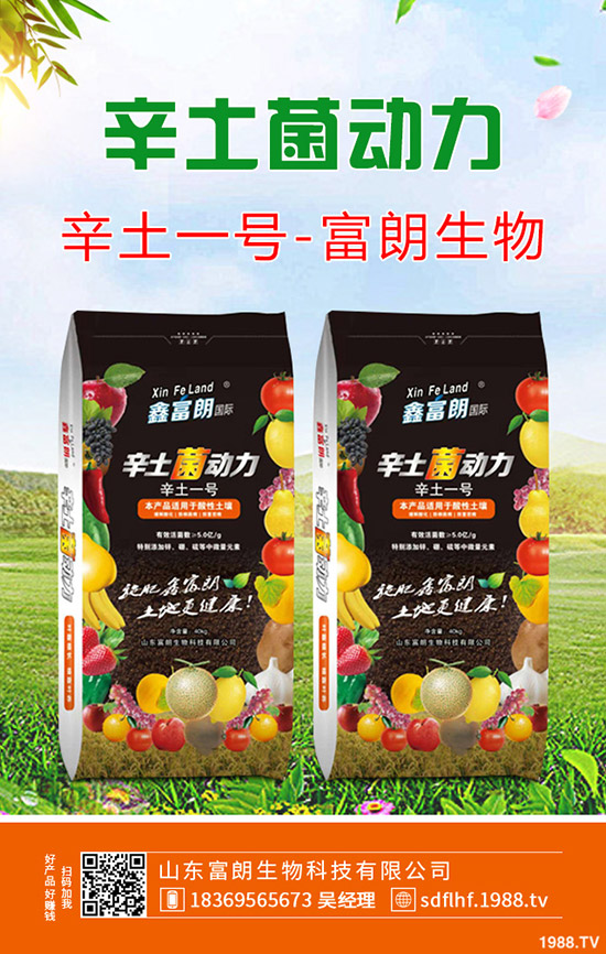 芹菜種植那種比較合適？那種品種收益高？芹菜優(yōu)良品種推薦！