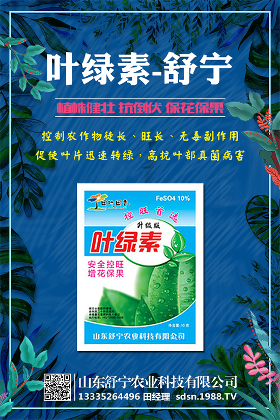 柿子怎么種植？種植柿子的注意事項(xiàng)有哪些？