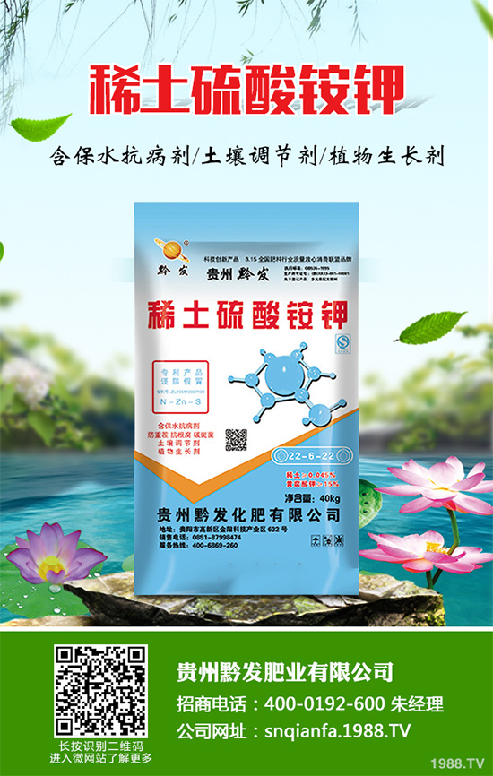 萵苣什么時候種植？萵苣高產(chǎn)種植方案