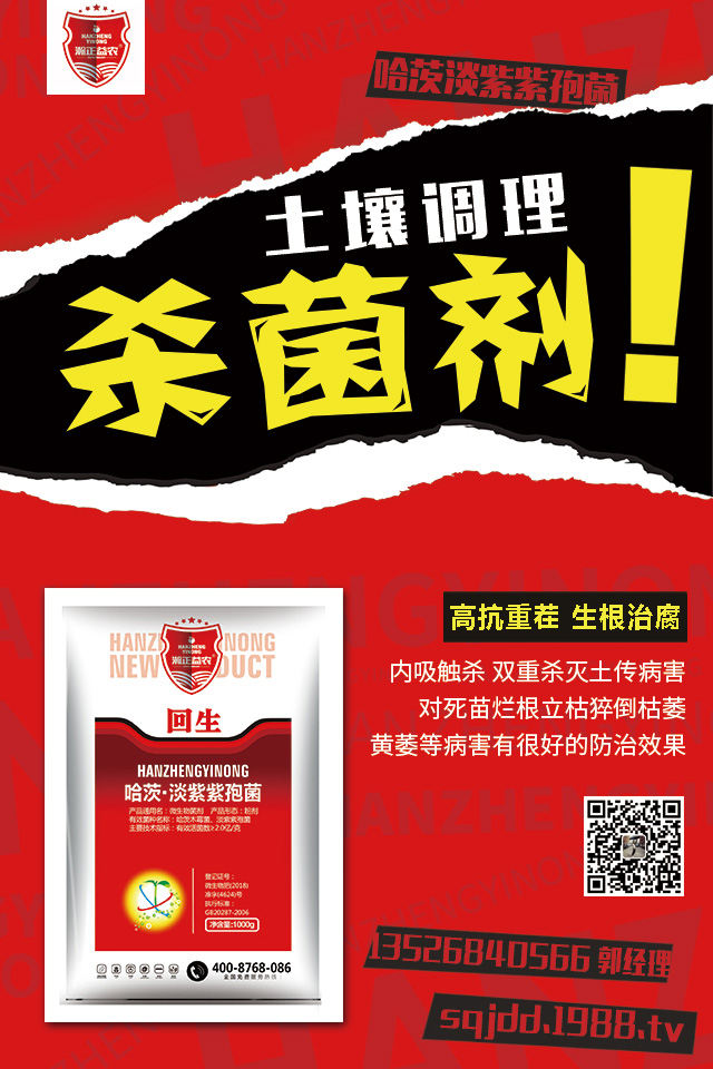 �������߲�Σ�������������߲����μ���