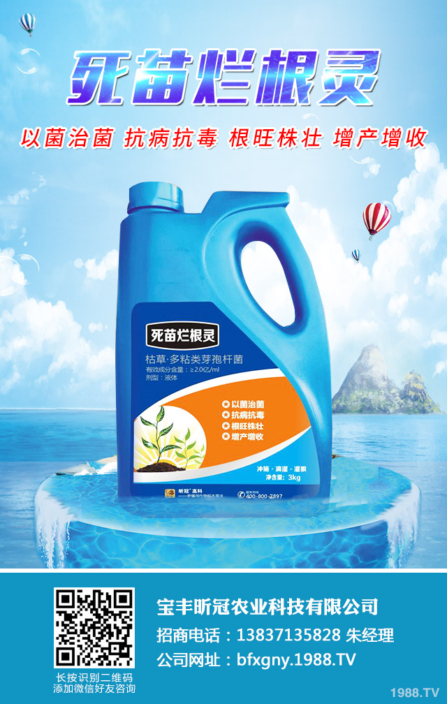 小麥全蝕病與根腐病怎么辦？小麥全蝕病與根腐病防治