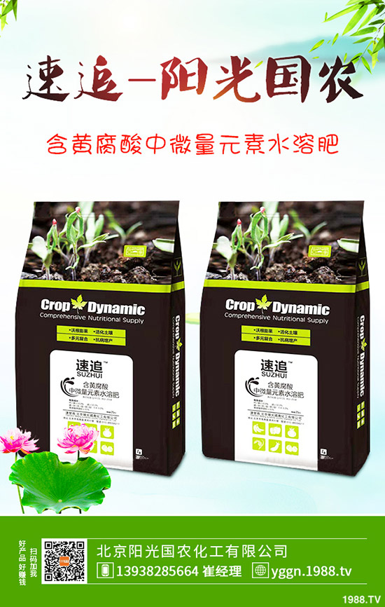     國慶將至！磷酸二銨價格是否影響？最新二銨行情分析2019-9-241-(238)