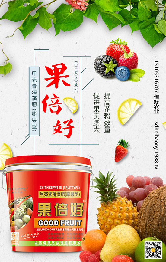 圣女果什么時(shí)間種植？圣女果種植技術(shù)要點(diǎn)有哪些？