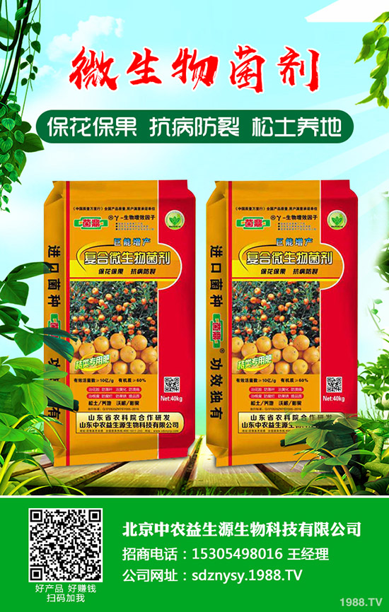 2019年9月24日今日各地區(qū)復(fù)合肥主流出廠(chǎng)報(bào)價(jià)一覽